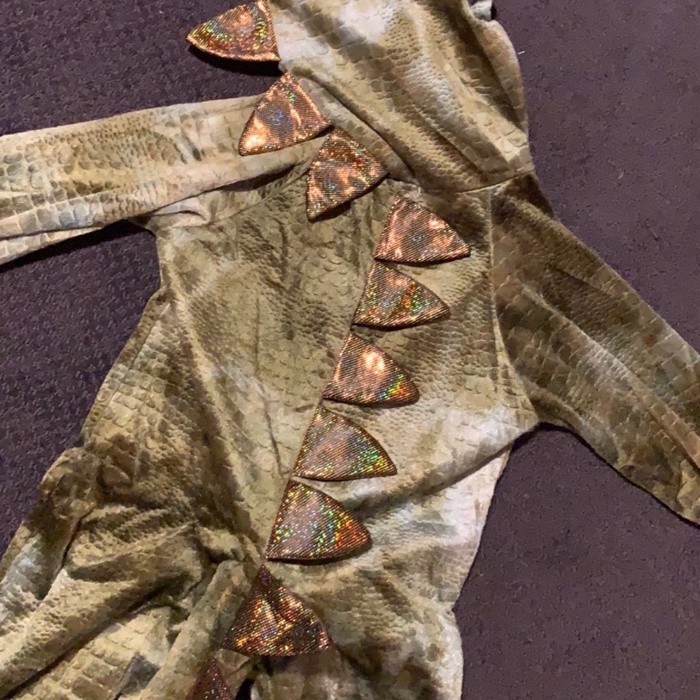 Dinosaur costume 🦕